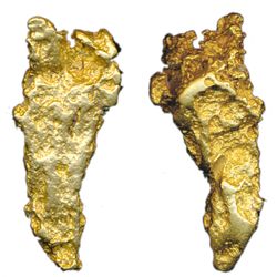 ALASKA GOLD NUGGET. A solid gold specimen in a large tear drop shape. Golden yellow in colour. Weigh