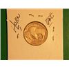 Image 2 : 1913 P BUFFALO NICKEL