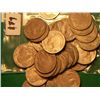 Image 1 : (30) BUFFALO NICKEL