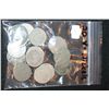 Image 1 : V-Nickel; Various Dates & Conditions; Lot of 20