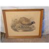 Image 1 : WOOD FRAMED "PHASIANUS COLCHICUS" PAINTING PRINT