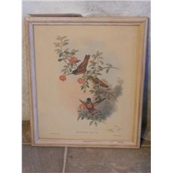 SMALL WOOD FRAMED HELIANTHEA EOS, GOULD PRINT