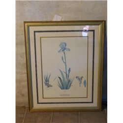 GOLD WOOD FRAMED DOUBLE MATTED IRIS PAINTING PRINT