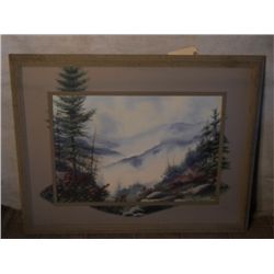 WOOD FRAMED VIEW FROM THE TOP BURTON DYE 1996