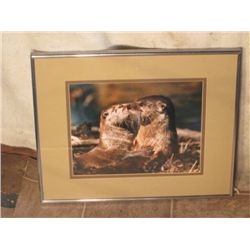 FRAMED SIGNED & NUMBERED OTTER PRINT