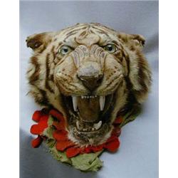 Stuffed tiger's head with open roaring mouth