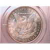 Image 2 : 1904-O Morgan Dollar MS63 PCGS