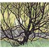 Image 1 : Alfred Joseph Casson