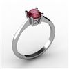 Image 1 : Garnet 0.60 ctw Ring 14kt White Gold