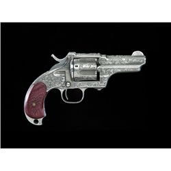Merwin & Hulbert / Hopkins & Allen Revolver