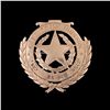 Image 1 : Gold Texas Ranger Presentation Badge