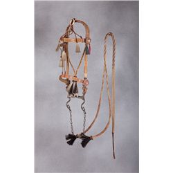 Deerlodge Montana Horsehair Bridle