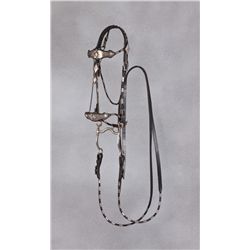 Edward Bohlin Bridle with Don Ellis Reins