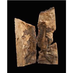 The Ultimate Relic Revolver