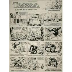 Hal Foster - Original Tarzan Sunday dated...