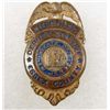 Image 1 : NEW JERSEY ESSEX COUNTY DEPUTY SHERIFF BADGE
