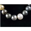 Image 2 : SOUTH SEA CULTURED PEARL NECKLACE