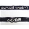 Image 2 : LOT OF 2 GERMAN NAZI WAFFEN SS EM CUFF TITLES