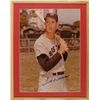 Image 1 : Ted Williams