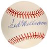 Image 1 : Ted Williams