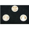Image 1 : 2009 US Sacagawea $1 Coin Set; P,S&D Mints