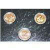 Image 2 : 2009 US Sacagawea $1 Coin Set; P,S&D Mints