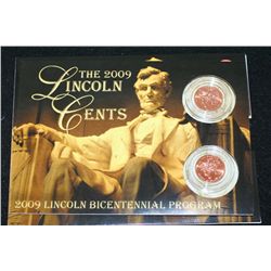 2009 Lincoln-Professional Life Penny Set; P&D Mints; UNC