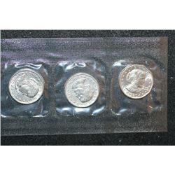 1980 US Susan B. Anthony $1 Coin Set; P,S&D Mints