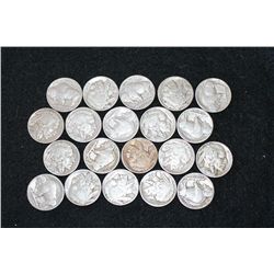 Buffalo Nickel; Various Dates & Conditions; Lot of 20