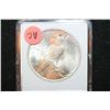 Image 2 : 1923 Peace $1; MCPCG Graded MS62