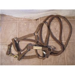 Halter And Lead Rope
