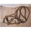 Image 1 : Halter And Lead Rope