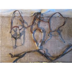 Mechanical Hackamores