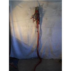 3 Prong Hanging Hook With Red Leads, Show Halter,