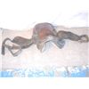 Image 1 : Early 1900's Decorational Western Saddle