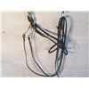 Image 1 : Black Halter With Bit And Reins