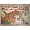 Image 1 : Ringling Bros And Barnum&bailey Combined Shows