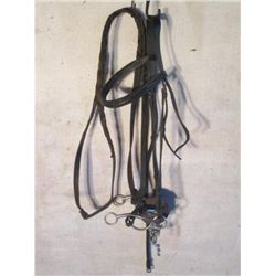 Black Leather Braided Halter And Bit