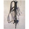 Image 1 : Black Leather Braided Halter And Bit