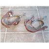 Image 1 : Pair Of Brown Leather Spurs
