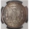 Image 3 : 1884CC Morgan $   NGC62