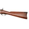 Image 5 : ET0503120017 Springfield - 1873 - .45-70 - rifle