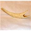 Image 1 : Crocodile or alligator carved from a whale or