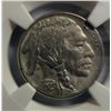 Image 2 : 1923-S BUFFALO NICKEL NGC XF CLEANED