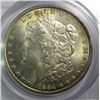 Image 2 : 1884 MORGAN DOLLAR PCGS MS64