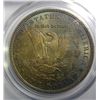 Image 3 : 1884 MORGAN DOLLAR PCGS MS64