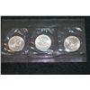Image 2 : 1980 US Susan B. Anthony $1 Coin Set; P,S&D Mints