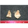 Image 1 : Dinosaur Teeth; Lot of 2