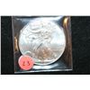 Image 1 : 2012 Silver Eagle $1