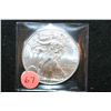 Image 1 : 2012 Silver Eagle $1